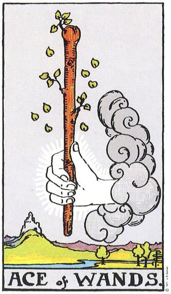 Ace of Wands tarot card thumbnail