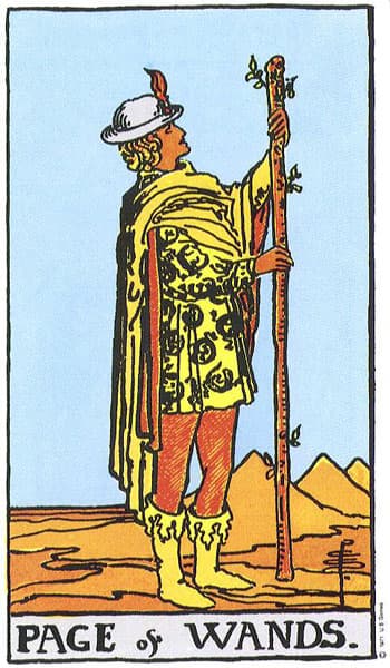 Page of Wands tarot card thumbnail