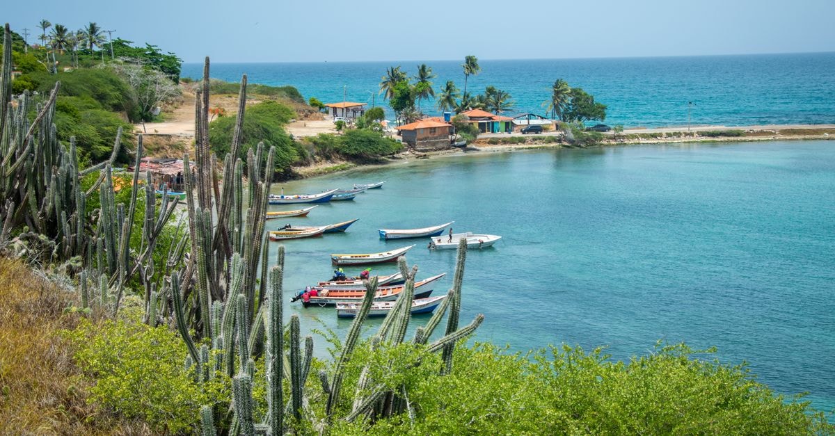 San Jose de Ocoa Travel Guide: Planning Tips, Costs and Things to Do Beautiful tropical seaside view with boats, cacti, and clear blue waters.