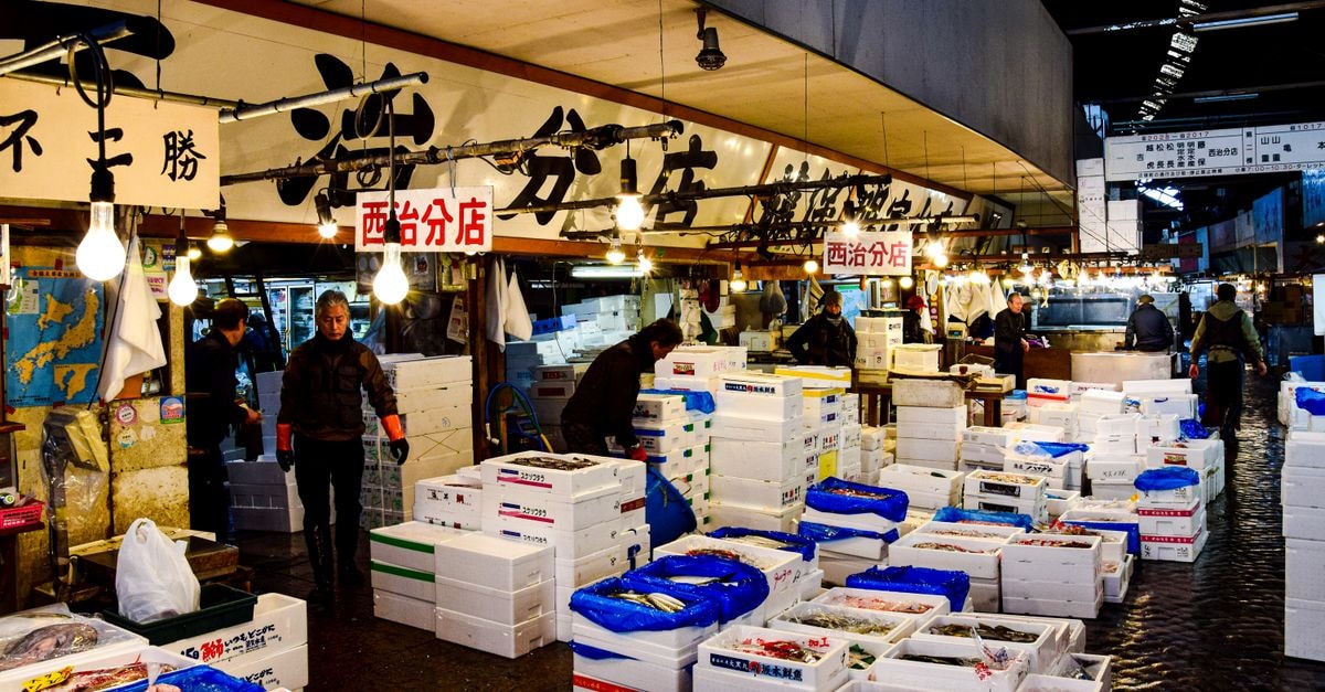 A Quiet Travel Guide to Kanazawa: Gardens, Seafood, and Easy Days A vibrant scene at the Tsukiji Fish Market showcasing fresh seafood and active vendors in Tokyo, Japan.