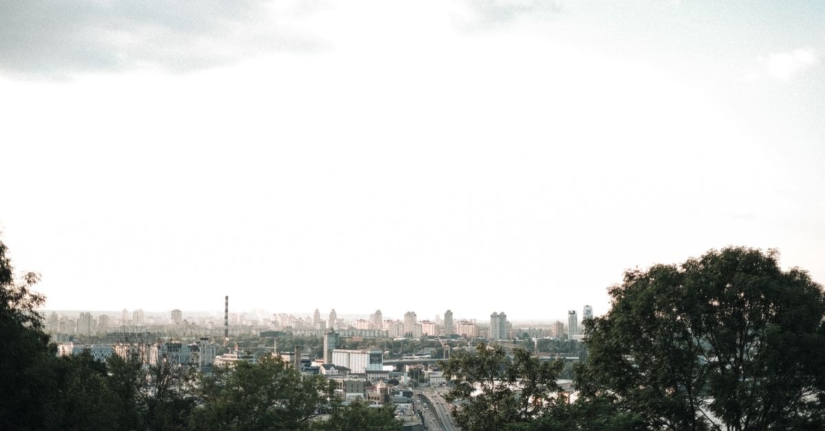 A serene view of a city skyline framed by trees and a clear horizon, ideal for travel and landscape themes.