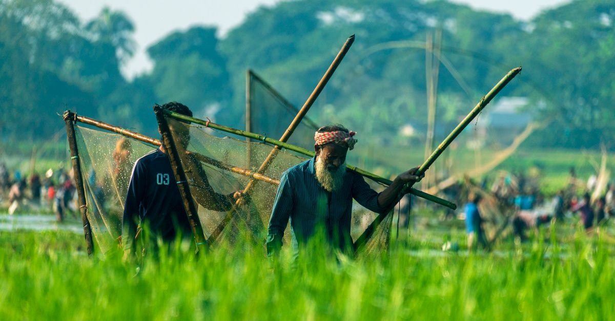 Eastern Heritage Resort in Mymensingh Beautiful capture of local fishermen working in Mymensingh, Bangladesh, showcasing traditional fishing methods.