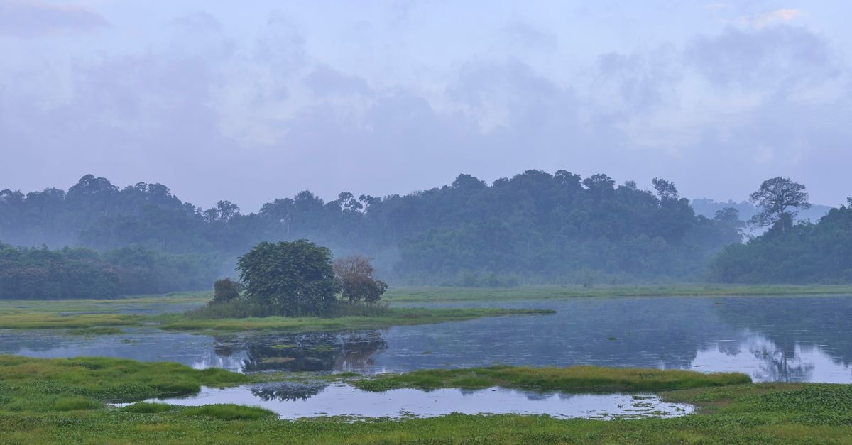 Jade Hotel, Nay Pyi Taw: A Calm Stop in Myanmar's Capital Serene view of wetland and lush vegetation under a calming blue sky in Dong Nai, Vietnam.