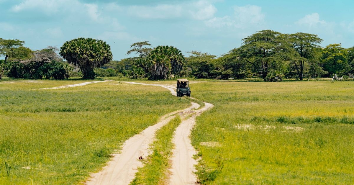 Mongu Travel Guide: Barotse Culture and the Liuwa Plains A safari vehicle travels through a scenic savannah landscape on a sunny day.
