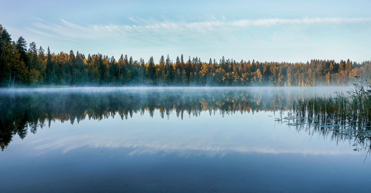 Hämeenlinna travel guide: lakes and slow Finnish moments A tranquil Finnish lake reflects the forest and morning mist at sunrise.