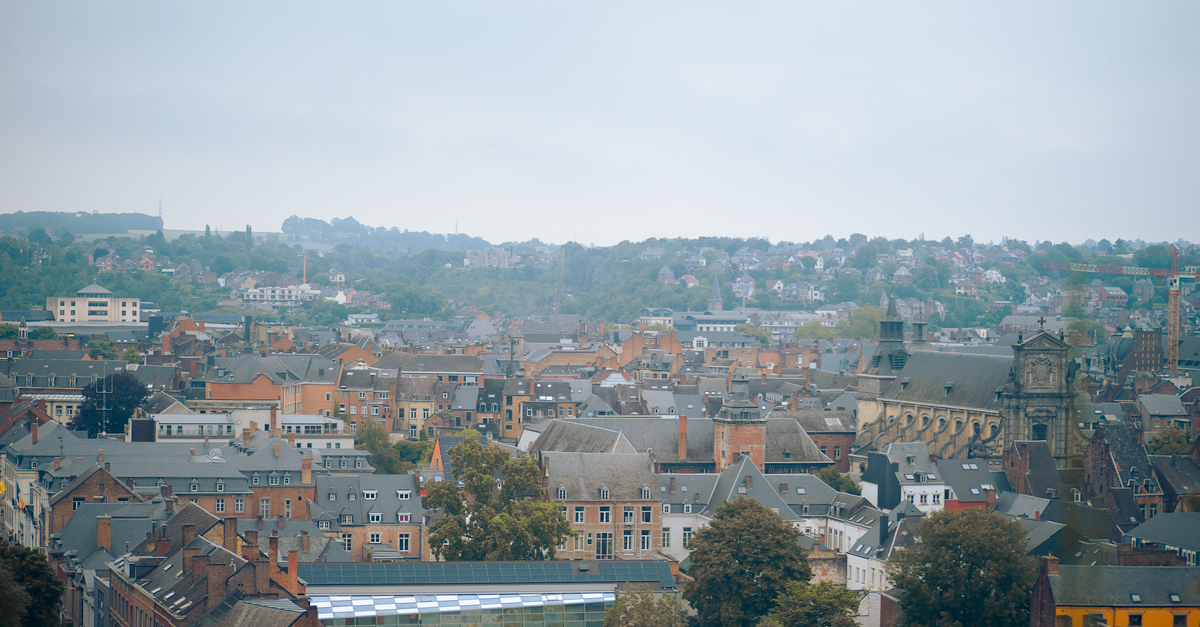 Discover the charming skyline of Namur, Belgium, showcasing historic architecture and scenic views.