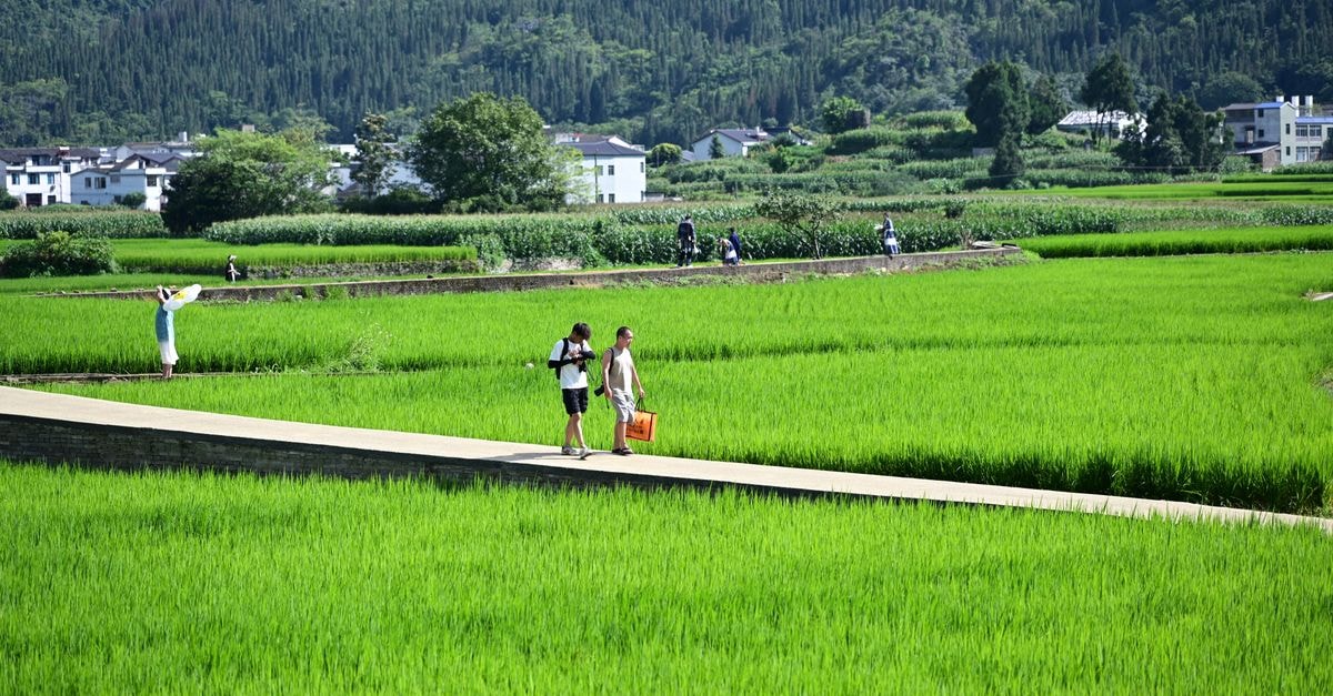 Wenshan City Travel Guide: Slow Yunnan Days on Foot People walking along a picturesque path through vibrant rice terraces with distant hills.