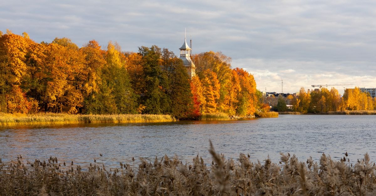 Jyväskylä Travel Guide: Lakes, Aalto, and Easy Central Finland Days Peaceful autumn scene with colorful trees and tranquil lake in Helsinki, Finland.