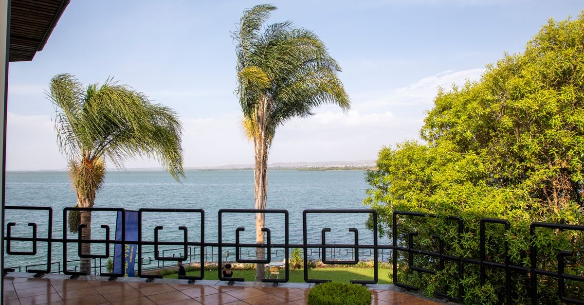 Inongo travel guide: gateway to Lake Mai-Ndombe Idyllic lakeside view with palm trees and vibrant greenery, ideal for relaxation.
