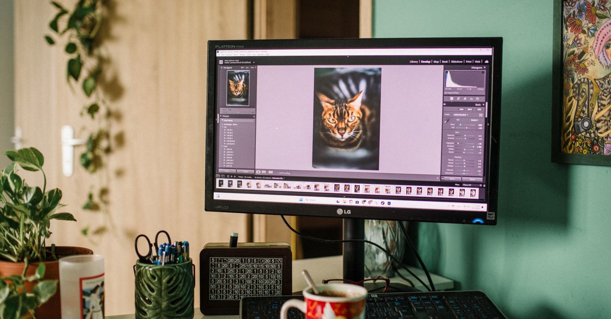 Microsoft Addresses LG Monitor McAfee Ads as Researchers Detail New China-Linked Windows Loader A cozy home office desk with a monitor displaying photo editing software, surrounded by plants and decor.