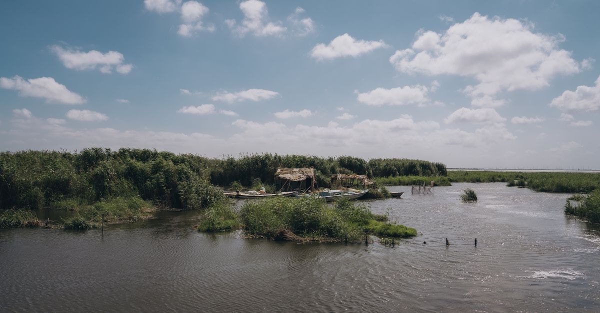 Peaceful river scene with boats and blue sky in Kafr El-Shaikh, Egypt.