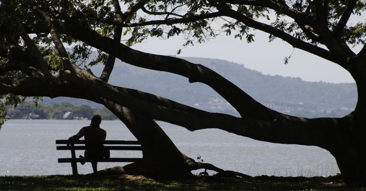A Quiet Lakeside Pause: Rumonge, Burundi Travel Guide A person sits quietly on a bench under a sprawling tree by Guaíba River, capturing a peaceful scene.