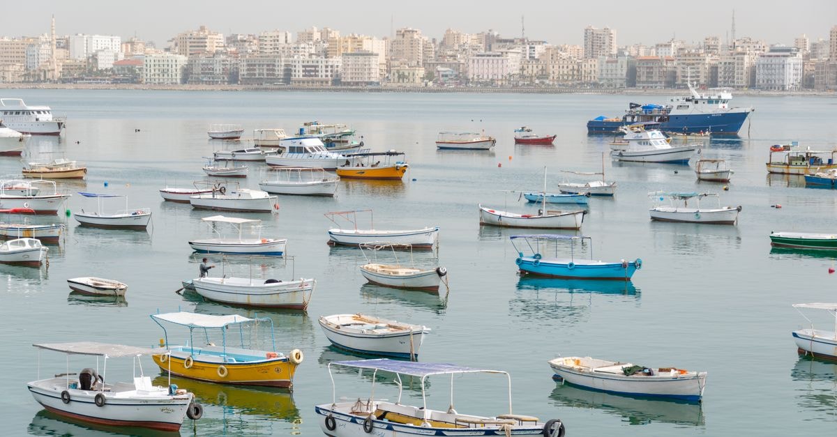 Charming harbor with boats and a city skyline backdrop, perfect for travel and urban themes.