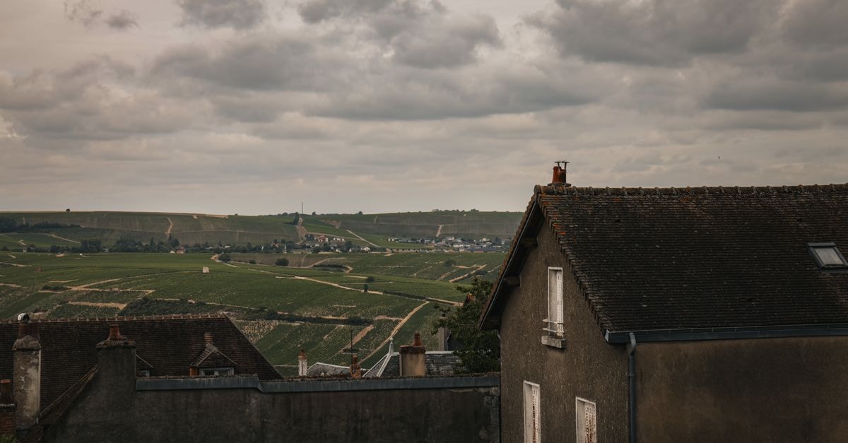 A Slow Travel Guide to Dijon: Wine, Heritage and Everyday French Charm Beautiful view of Sancerre's countryside with vineyards and charming rooftops under a cloudy sky.