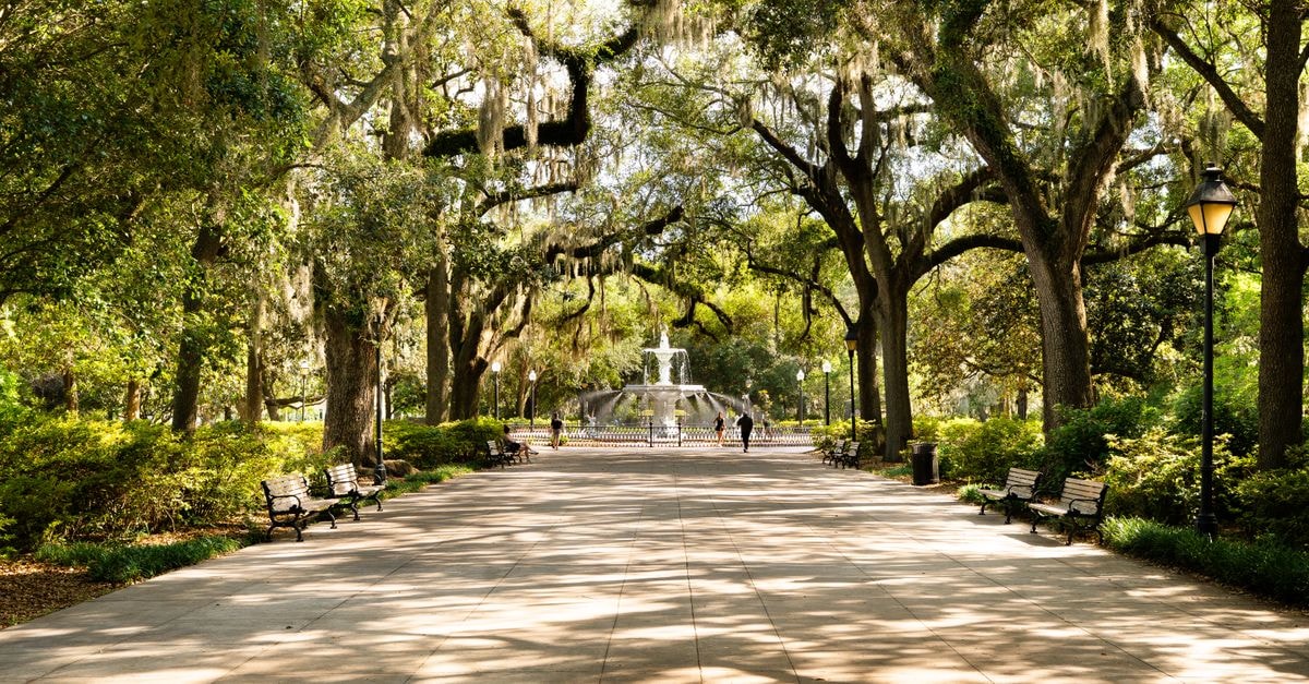 Savannah Travel Guide: Climate Comfort and Food Context Stroll through Forsyth Park's scenic walkway draped with Spanish moss in Savannah, Georgia.