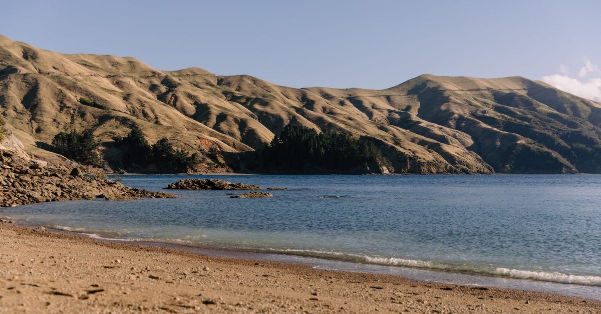 Nelson travel guide: coastal calm and creative corners Tranquil coastal scene with clear waters and rugged hills in Marlborough, New Zealand