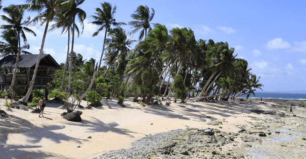 A Slow Traveler's Guide to Nuku'alofa: Things to Do and Know A serene tropical beach with palm trees and sandy shoreline under a clear blue sky.
