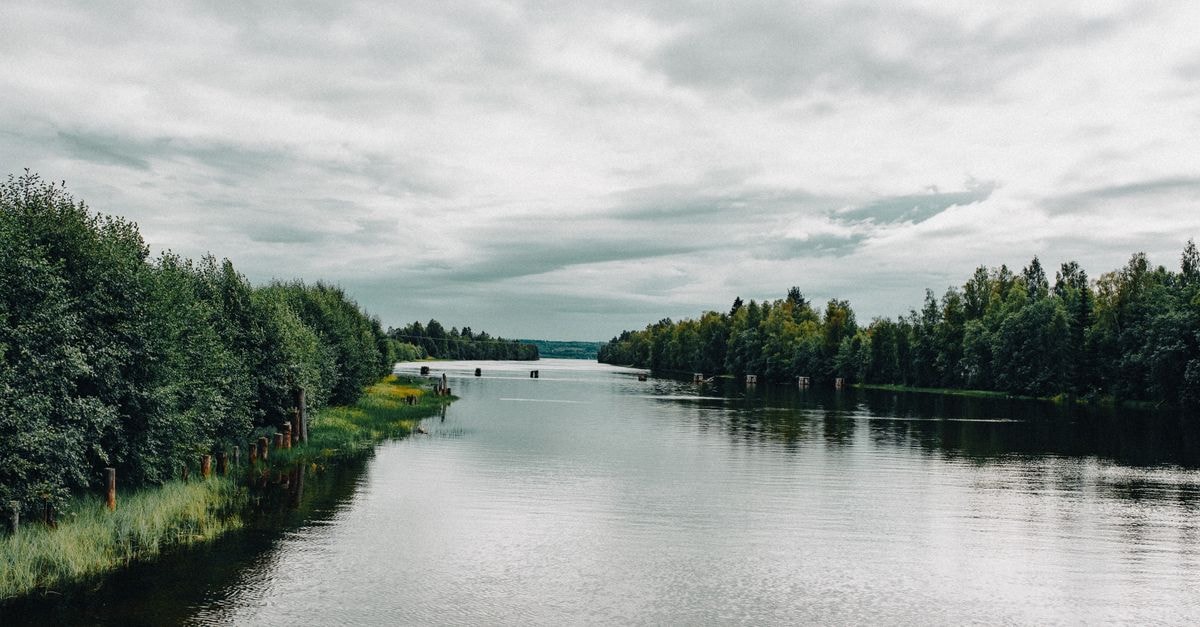 Rovaniemi Travel Guide: Planning Tips, Costs and Things to Do Tranquil river scene with lush green trees and cloudy sky, perfect for nature lovers.