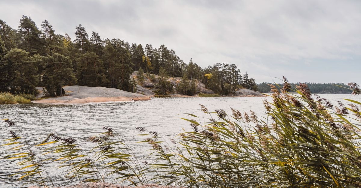 A Slow Travel Guide to Karlstad by Lake Vänern Explore the serene rocky coastline lined with lush trees and gentle waters.