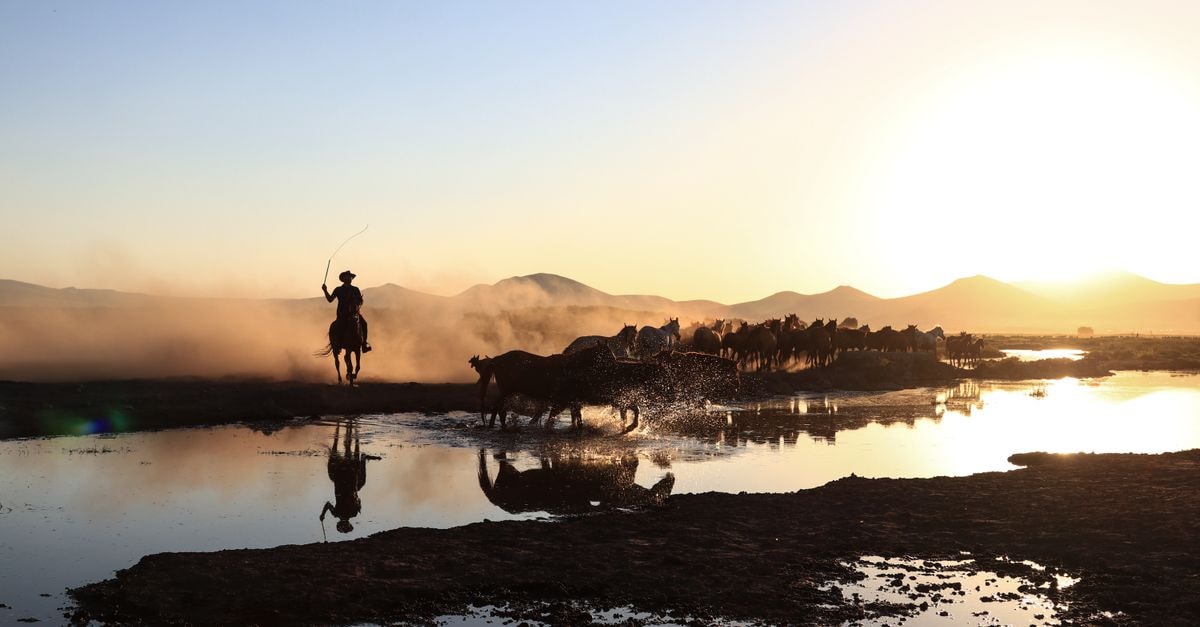 Ghanzi Travel Guide: Cattle Country at the Edge of the Kalahari Silhouetted cowboy on horseback herding cattle across a water landscape during sunset.