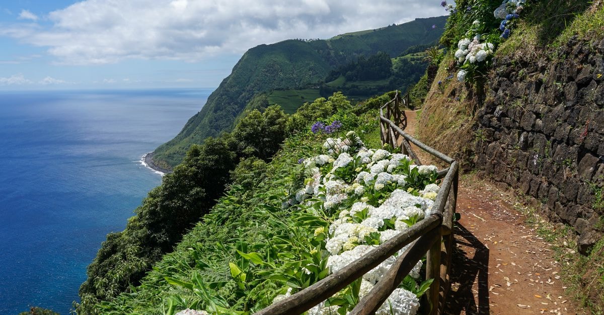 Ponta Delgada Travel Guide: Planning Tips, Costs and Things to Do Breathtaking coastal view of Ponta Delgada, Azores, with lush greenery and blooming hydrangeas along a serene path.
