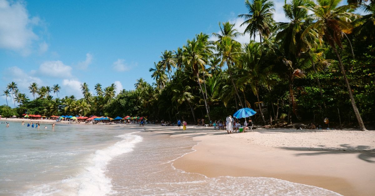 Samaná Travel Guide: Beaches, Markets and Slow Mornings Sunny tropical beach with palm trees, colorful umbrellas, and gentle waves under a clear blue sky.