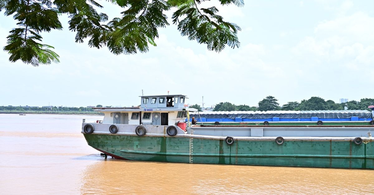 Cargo ship sailing on a river under green foliage with a serene landscape backdrop. Ideal for travel and transport themes.