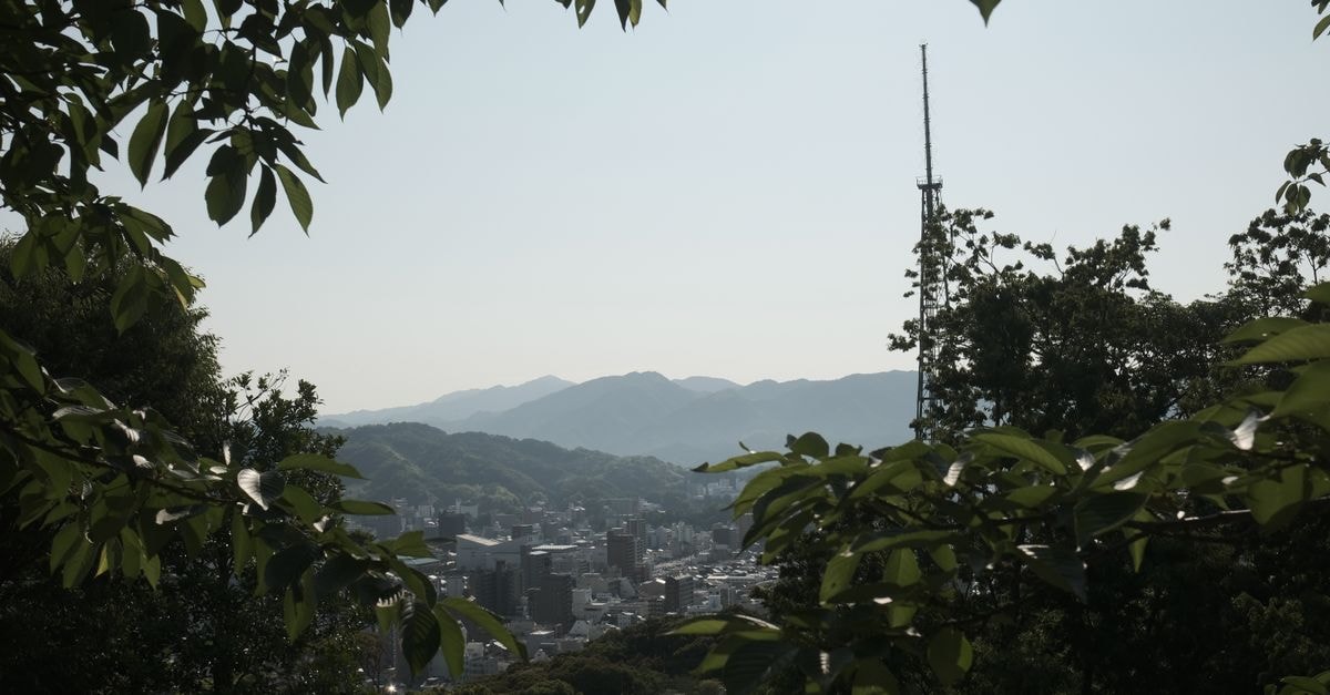 Beautiful view of a city with mountains and a prominent tower framed by lush trees.