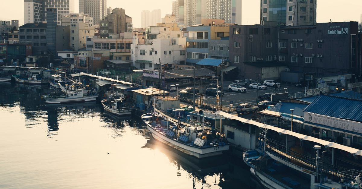 Masan travel guide: harbors, markets and easy city hops Serene view of an urban harbor with boats docked under a soft sunset glow.