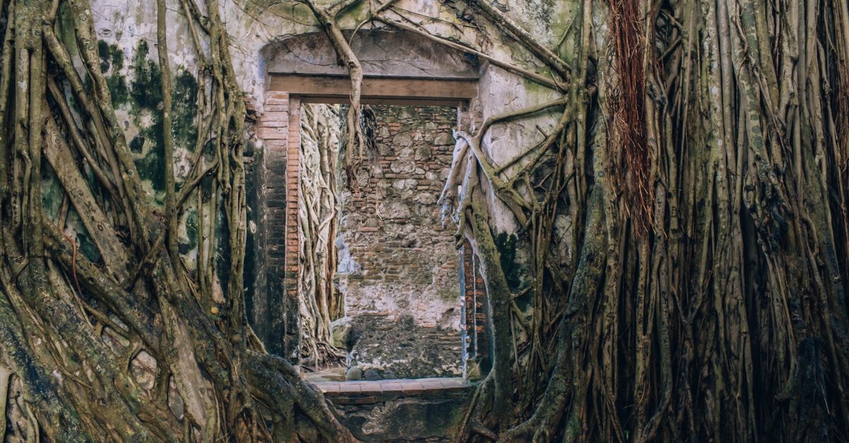 Explore the mystical ruins entwined with massive tree roots in La Antigua Veracruz.