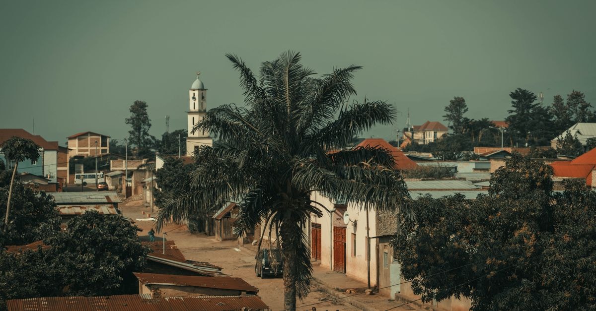 Street view of Bujumbura with a prominent palm tree and distant architectural structures.