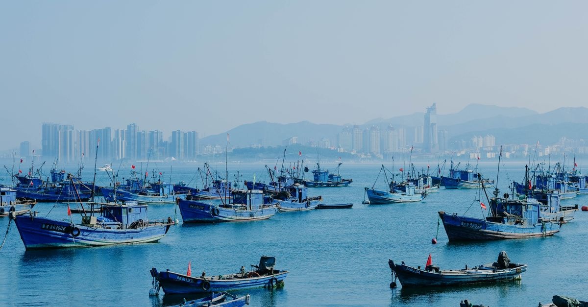 Yanzhou Travel Guide: A Quiet Shandong Discovery Traditional fishing boats in Weihai Bay, China, with a modern city skyline in the background.
