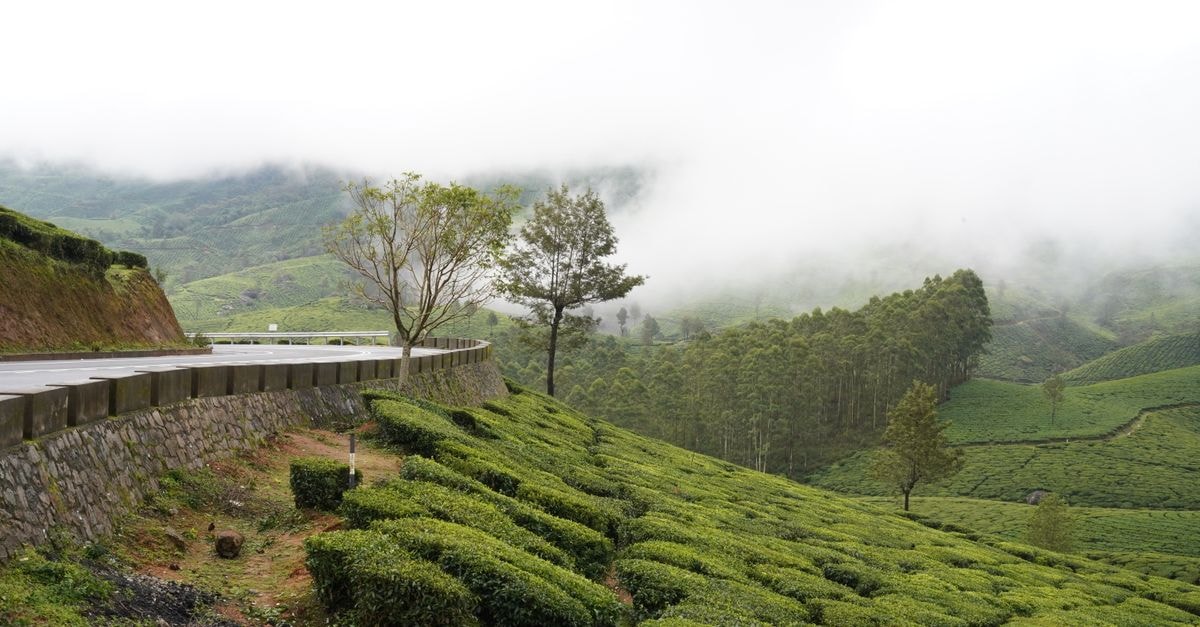 Munnar Travel Guide: Tea Hills, Misty Mornings and Slow Days Explore the lush tea plantations and misty landscapes of Munnar, Kerala, India.