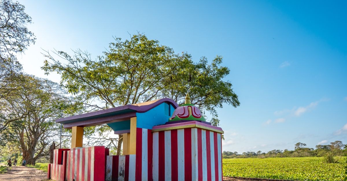 Vibrant shrine amidst lush greenery in Vavuniya, Northern Province, Sri Lanka.