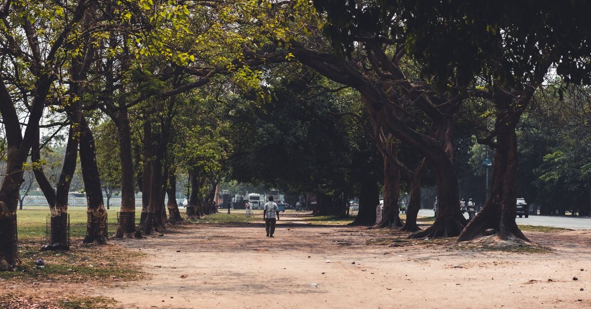 Kamarhati Travel Guide: A Quiet Pocket of the Kolkata Metropolitan Area Lone figure walking under tree canopy on a calm park pathway in Kolkata, India.