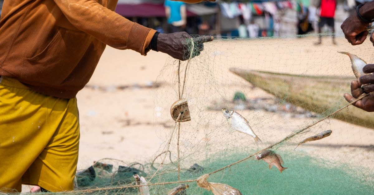 Sanniquellie Travel Guide: A Quiet Crossroads in Liberia's Far North African fishermen manage nets on a sunny beach, showcasing local fishing culture.