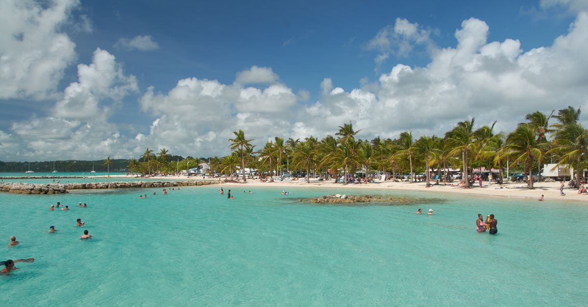 Dorado Travel Guide: Resort Calm Meets Caribbean Coast Idyllic tropical beach with palm trees and turquoise waters in Sainte-Anne, ideal for vacation and leisure activities.