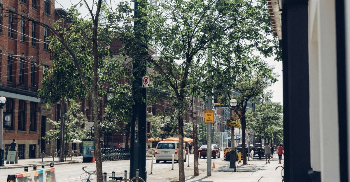Saskatoon Travel Guide: River Valleys, Walkable Streets & Local Flavor A lively city street lined with trees, bicycles, and pedestrians on a sunny day.