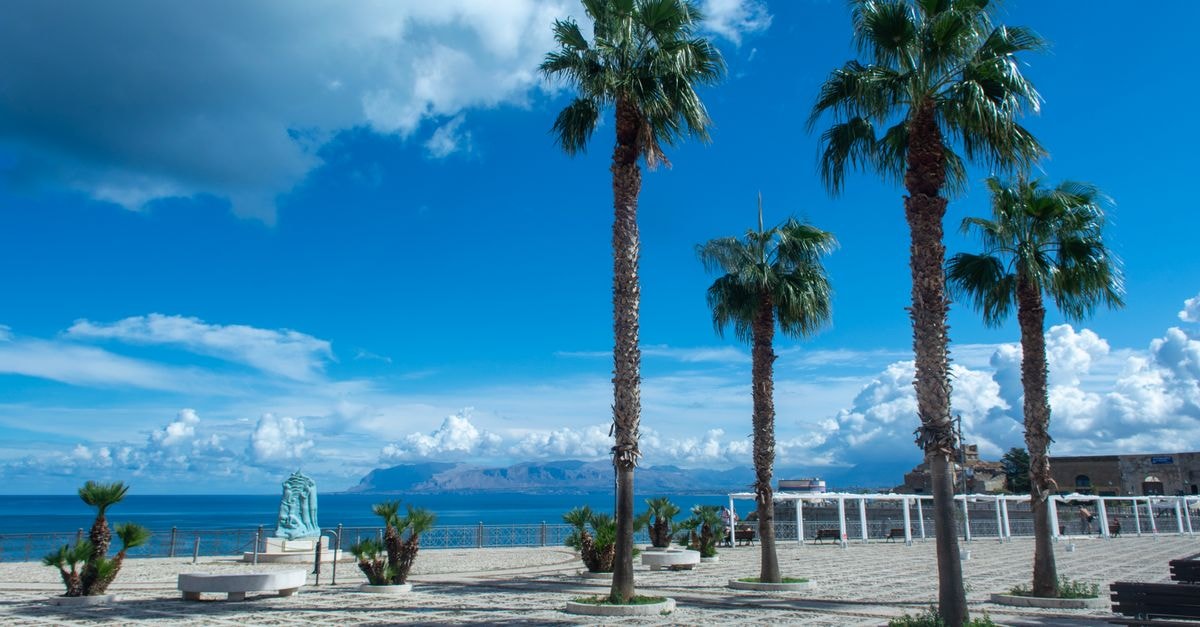 Trapani travel guide: a slow stroll on Sicily's sickle-shaped shore Stunning view of palm trees along the seaside in Castellammare del Golfo, Sicily.