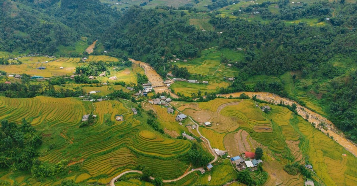 A breathtaking aerial view of lush terraced rice fields in the mountains of Vietnam, showcasing rural beauty.