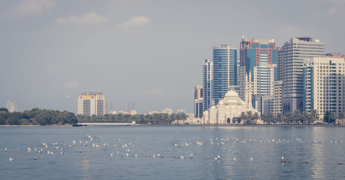 Beautiful skyline of Al Sharjah with high rise buildings and seagulls over the water.