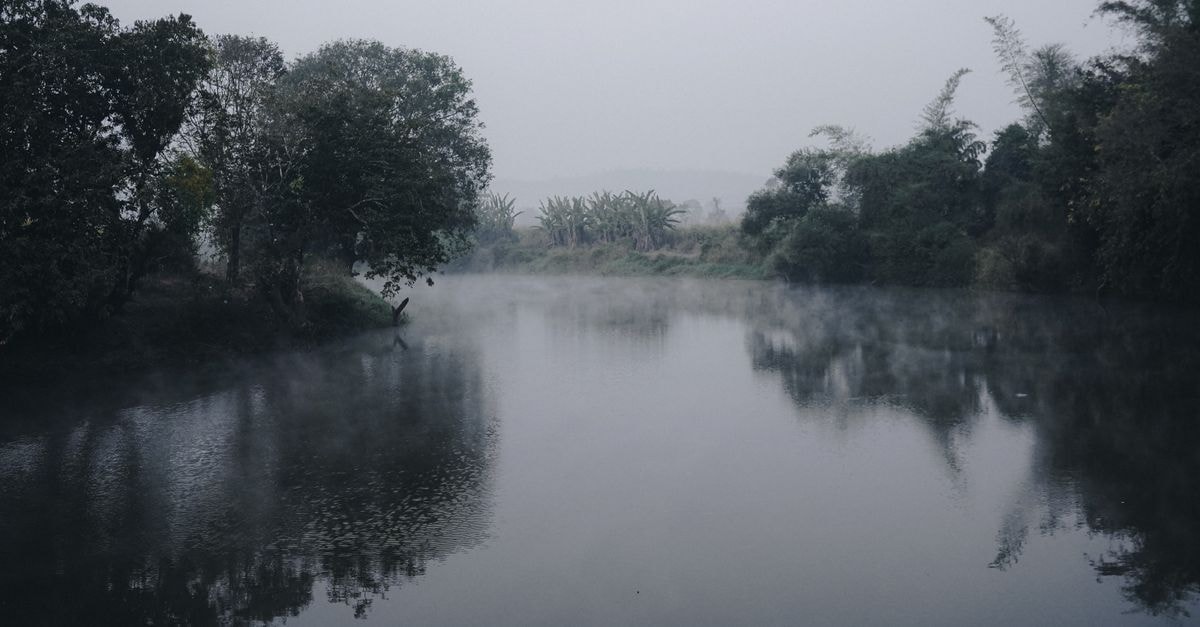 A tranquil, foggy river scene with trees reflecting on water in Belagavi, India.