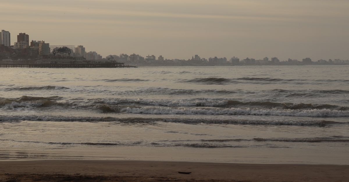 Hotel Dallas Center, Mar del Plata — A Central Base Steps From Playa Bristol Wave patterns on the beach with city skyline of Mar del Plata, Argentina in the background.