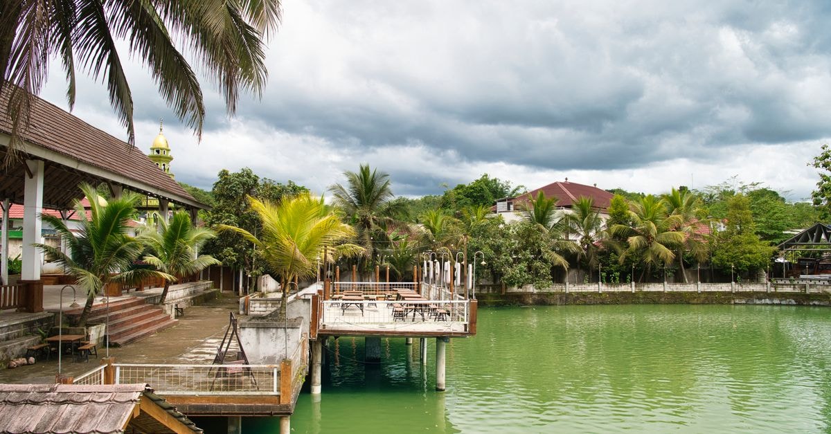 A Quiet Capital on the Kahayan: Palangkaraya Travel Guide A serene lakeside view with tropical palm trees and an overcast sky.