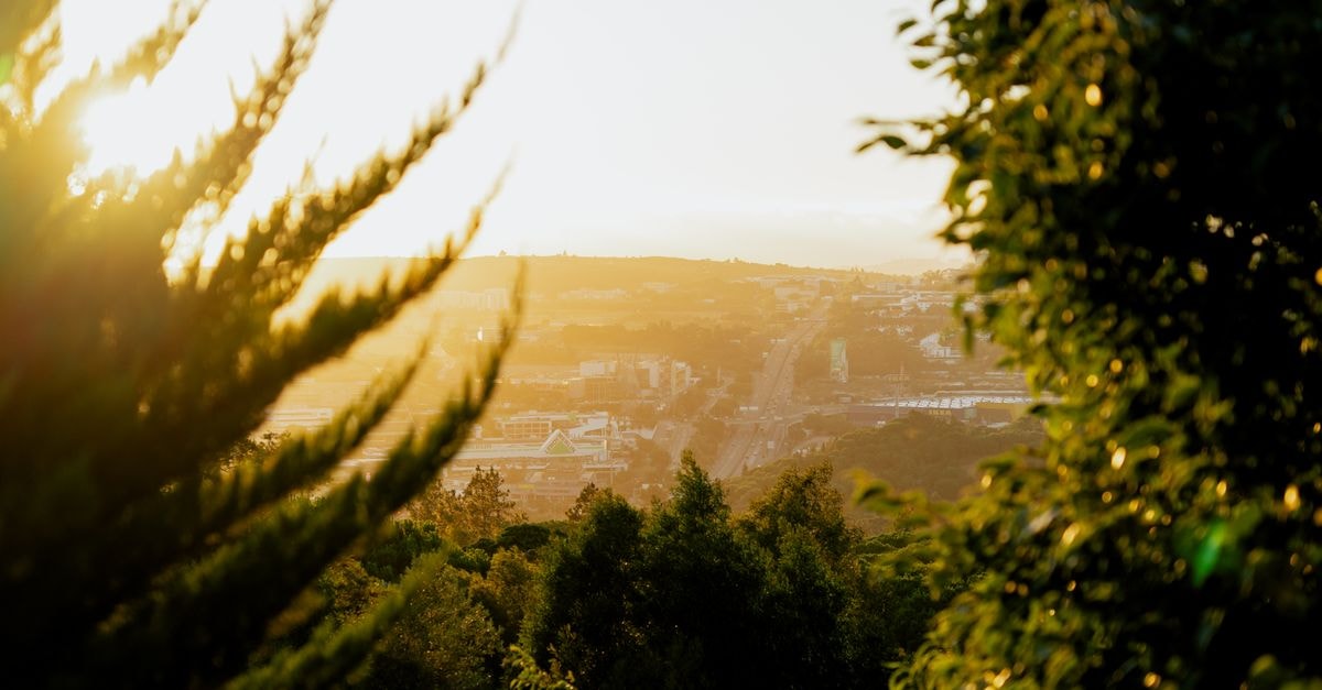 Gorgeous sunset view over Lisbon with lush greenery in the foreground.