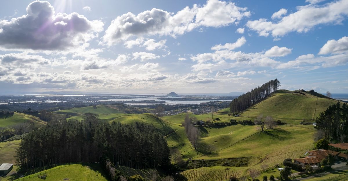 Stunning aerial view of green rolling hills in Tauranga, New Zealand, with Mount Maunganui in the background.