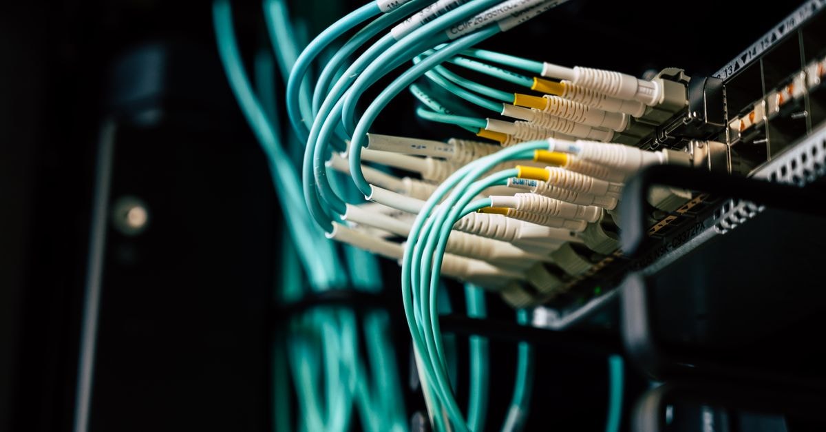 Detailed view of network cables plugged into a server rack in a data center.
