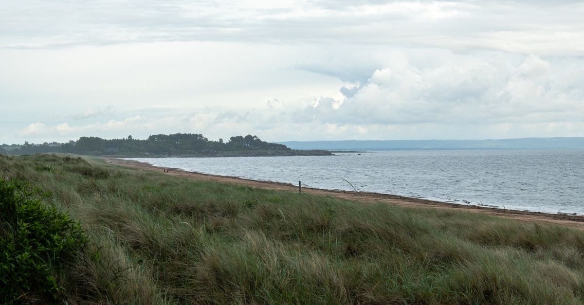 Explore a peaceful beach scene in Halmstad, Sweden, with lush greenery and a calm sea under a cloudy sky.