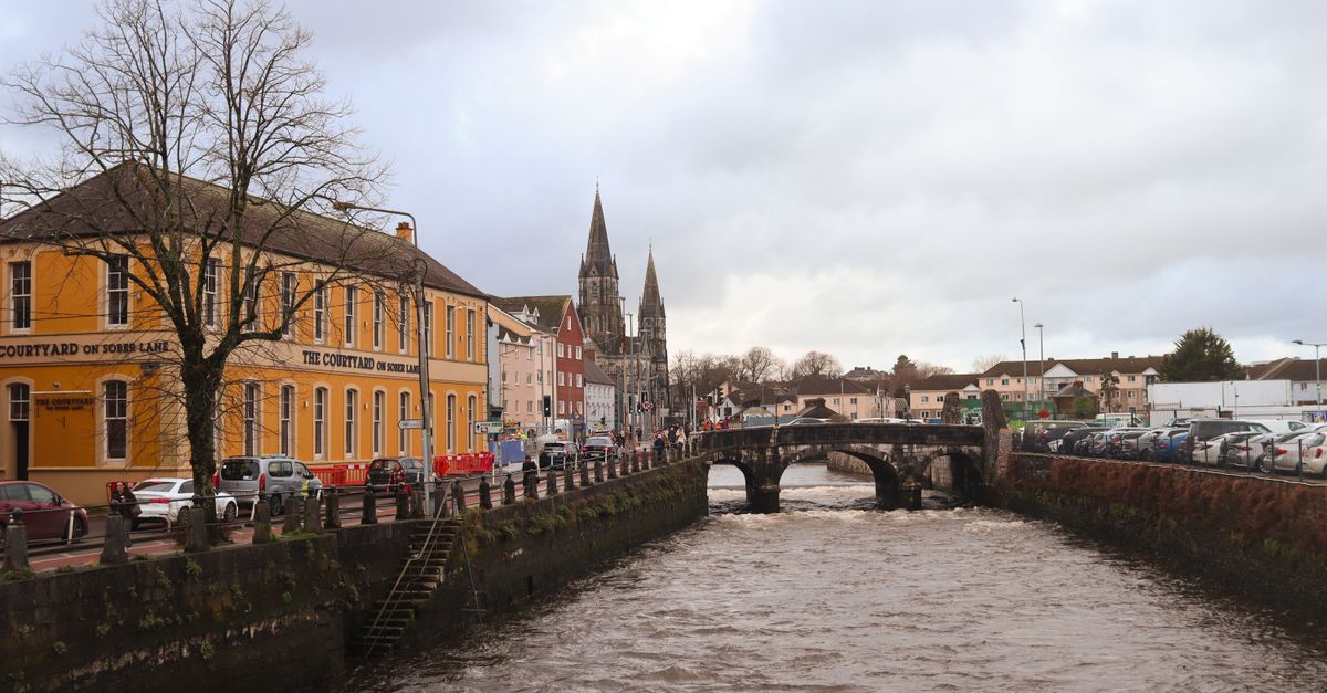Charming city view featuring bridge over river, historic buildings, and overcast skies in winter.