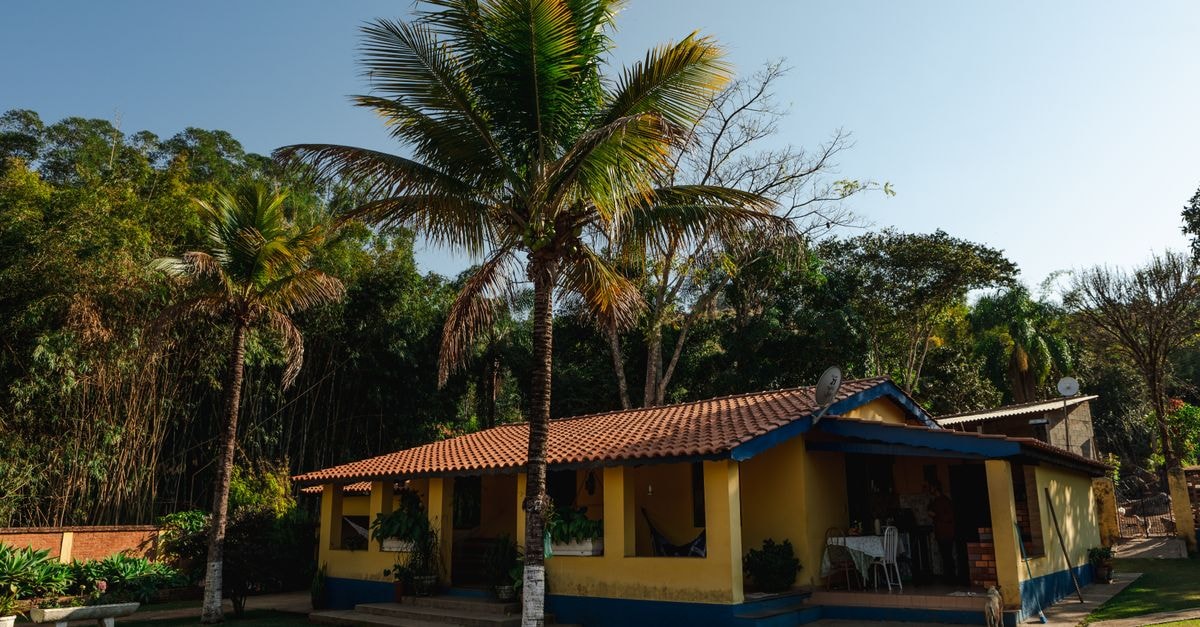 Sao Vicente Travel Guide: Planning Tips, Costs and Things to Do Sunny day view of a rustic house surrounded by tropical trees in Espírito Santo do Pinhal, Brazil.